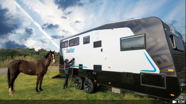 Horse Trailer with Horse